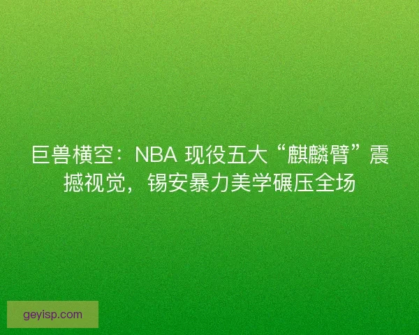 巨兽横空：NBA 现役五大 “麒麟臂” 震撼视觉，锡安暴力美学碾压全场