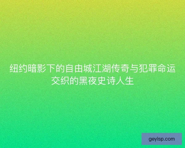 纽约暗影下的自由城江湖传奇与犯罪命运交织的黑夜史诗人生