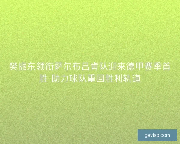 樊振东领衔萨尔布吕肯队迎来德甲赛季首胜 助力球队重回胜利轨道